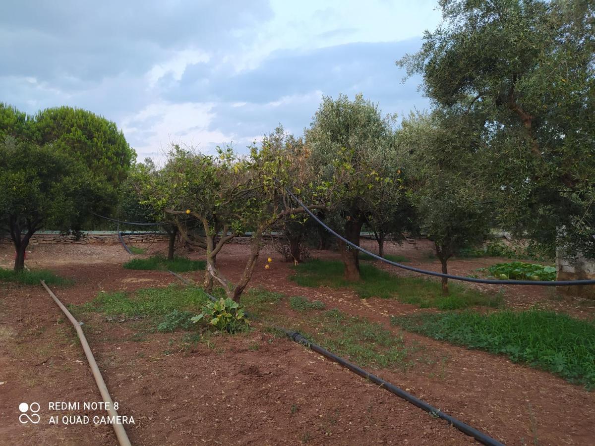 Ozena Countryside Apartment Vromonerion Luaran gambar