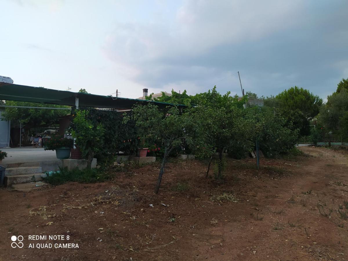 Ozena Countryside Apartment Vromonerion Luaran gambar